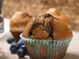 Apple blueberry cupcakes